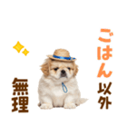 ぺき子犬☆毎日つかえるスタンプ（個別スタンプ：13）