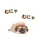 ぺき子犬☆毎日つかえるスタンプ（個別スタンプ：18）