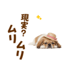 ぺき子犬☆毎日つかえるスタンプ（個別スタンプ：19）