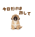 ぺき子犬☆毎日つかえるスタンプ（個別スタンプ：20）