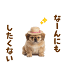 ぺき子犬☆毎日つかえるスタンプ（個別スタンプ：21）