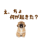 ぺき子犬☆毎日つかえるスタンプ（個別スタンプ：26）