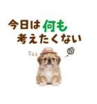 ぺき子犬☆毎日つかえるスタンプ（個別スタンプ：30）