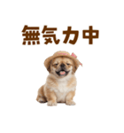ぺき子犬☆毎日つかえるスタンプ（個別スタンプ：32）