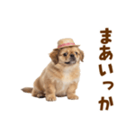 ぺき子犬☆毎日つかえるスタンプ（個別スタンプ：36）