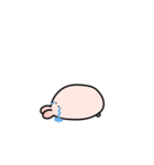 だるうさぎ‪ ꪔ̤（個別スタンプ：11）