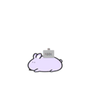 だるうさぎ‪ ꪔ̤（個別スタンプ：21）