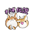 むぎときなこ まとめ⑤（個別スタンプ：34）