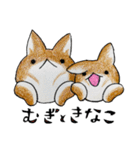 むぎときなこ まとめ⑤（個別スタンプ：40）