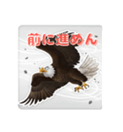 ワシが語る！怖 かわ おもろい動物（個別スタンプ：14）