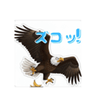 ワシが語る！怖 かわ おもろい動物（個別スタンプ：19）
