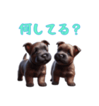 スコティッシュテリアベビーの日常（個別スタンプ：14）