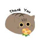 ねこですから。（キジトラ）（個別スタンプ：2）