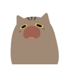 ねこですから。（キジトラ）（個別スタンプ：6）