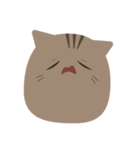 ねこですから。（キジトラ）（個別スタンプ：14）