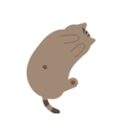 ねこですから。（キジトラ）（個別スタンプ：15）