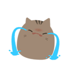 ねこですから。（キジトラ）（個別スタンプ：20）