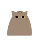 ねこですから。（キジトラ）（個別スタンプ：24）