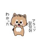 使える韓国語♪三つ子のきつねこ『ポート』（個別スタンプ：2）