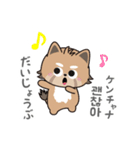 使える韓国語♪三つ子のきつねこ『ポート』（個別スタンプ：4）