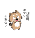 使える韓国語♪三つ子のきつねこ『ポート』（個別スタンプ：5）