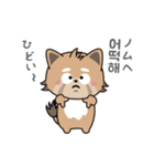 使える韓国語♪三つ子のきつねこ『ポート』（個別スタンプ：7）