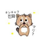 使える韓国語♪三つ子のきつねこ『ポート』（個別スタンプ：10）