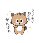 使える韓国語♪三つ子のきつねこ『ポート』（個別スタンプ：11）
