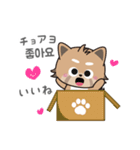 使える韓国語♪三つ子のきつねこ『ポート』（個別スタンプ：12）