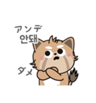 使える韓国語♪三つ子のきつねこ『ポート』（個別スタンプ：13）