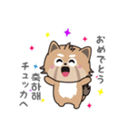 使える韓国語♪三つ子のきつねこ『ポート』（個別スタンプ：14）