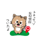 使える韓国語♪三つ子のきつねこ『ポート』（個別スタンプ：16）