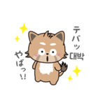 使える韓国語♪三つ子のきつねこ『ポート』（個別スタンプ：19）