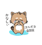 使える韓国語♪三つ子のきつねこ『ポート』（個別スタンプ：20）