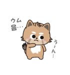 使える韓国語♪三つ子のきつねこ『ポート』（個別スタンプ：23）