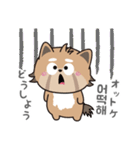 使える韓国語♪三つ子のきつねこ『ポート』（個別スタンプ：24）