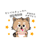 使える韓国語♪三つ子のきつねこ『ポート』（個別スタンプ：25）
