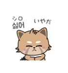 使える韓国語♪三つ子のきつねこ『ポート』（個別スタンプ：26）