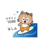 使える韓国語♪三つ子のきつねこ『ポート』（個別スタンプ：27）