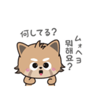 使える韓国語♪三つ子のきつねこ『ポート』（個別スタンプ：28）