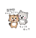 使える韓国語♪三つ子のきつねこ『ポート』（個別スタンプ：31）