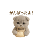 ネコしてます:いつものやつ 4（個別スタンプ：4）