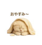 ネコしてます:いつものやつ 4（個別スタンプ：17）