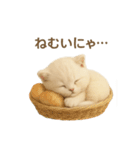 ネコしてます:いつものやつ 4（個別スタンプ：18）