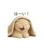 ネコしてます:いつものやつ 4（個別スタンプ：19）