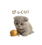 ネコしてます:いつものやつ 4（個別スタンプ：29）