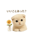 ネコしてます:いつものやつ 4（個別スタンプ：31）