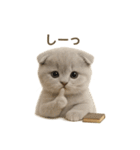 ネコしてます:いつものやつ 4（個別スタンプ：36）