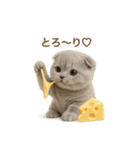 ネコしてます:おいしいやつ（個別スタンプ：4）