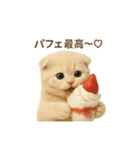 ネコしてます:おいしいやつ（個別スタンプ：11）
